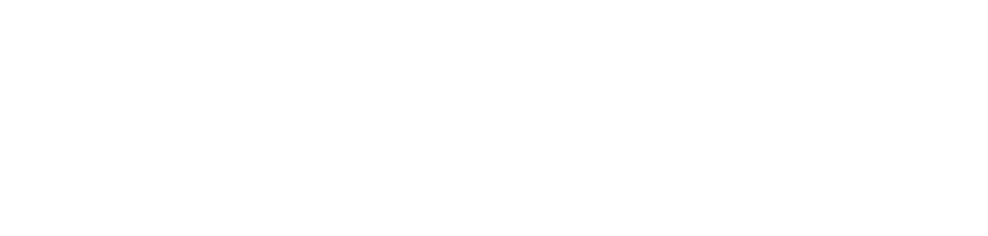 Intersystems