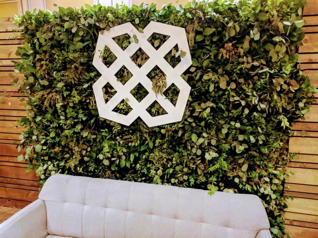 Plant Rental By Dzign