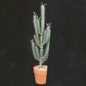 Faux Cactus 48”