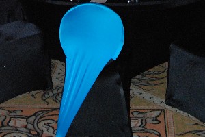 Turquoise Spandex Chair Back