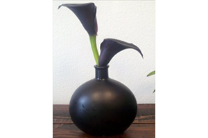 Matte Black Oval Bud Vase