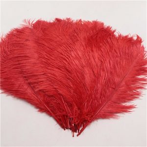 Feather Plume Red