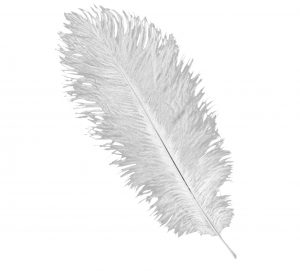 Feather Plume White