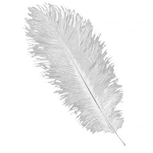 Feather Plume White