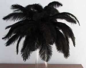 Feather Plume Black