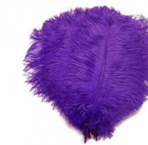 Feather Plume Purple