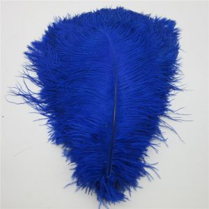 Feather Plume Blue