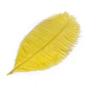Feather Plume Yellow