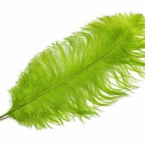 Feather Plume Green