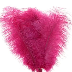 Feather Plume Hot Pink