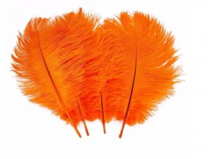 Feather Plume Orange