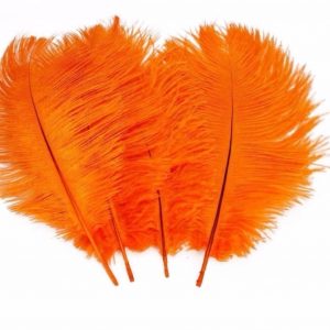 Feather Plume Orange