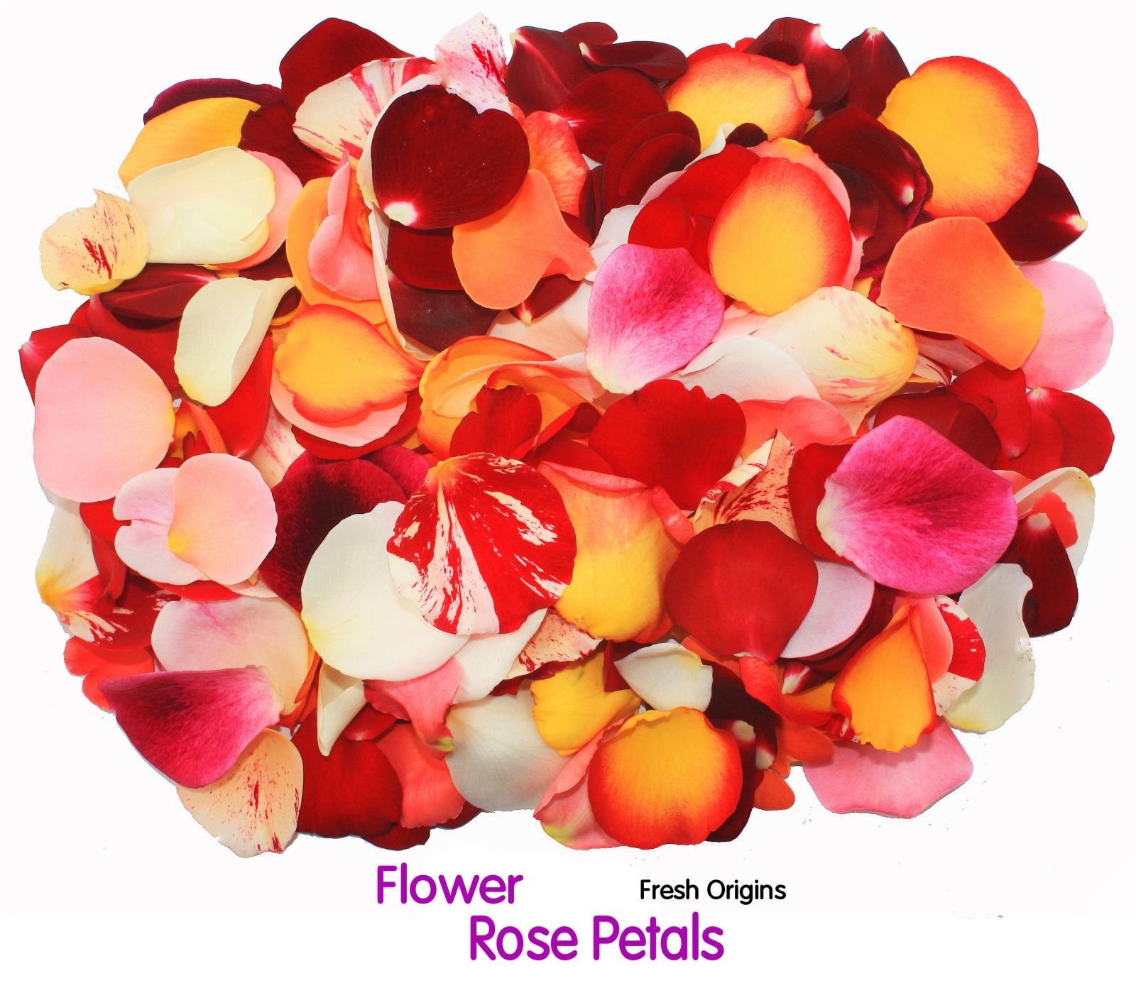 EDIBLE FLOWERS ROSE PETALS ASSORTED
