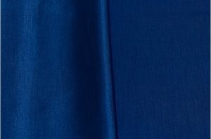 Royal Blue Napkin Rental