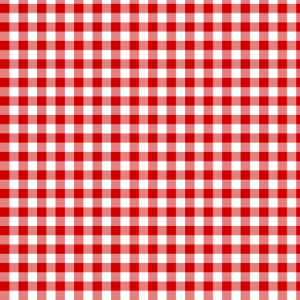 Red & White Gingham Poly Linen Rental