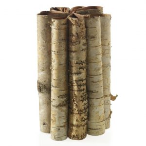 Birch Bark Folder Vase