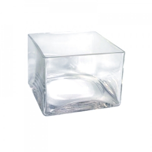 Clear Glass Cube Vase 4"x 4"