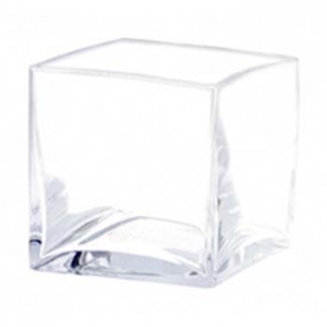 Clear Glass Cube Vase 6"