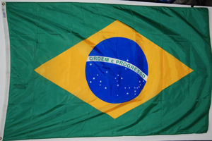 Brazilian Nylon Flag 4' x 6'