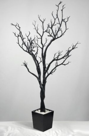 Black Manzanita Tree Rental