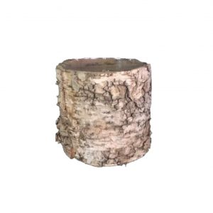 Cylinder Birch Vase - 4.75" x 4.75" Tall