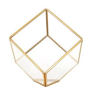 Gold Metal / Glass Square Terrarium 4 1/2"