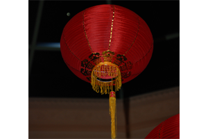 Chinese Lantern Medium