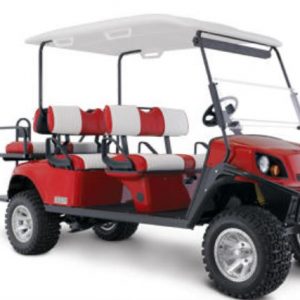 6 Passenger Golf Cart