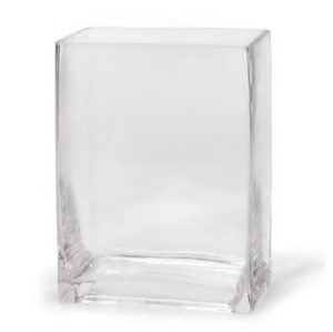 Clear Glass Rectangular Vase 8"