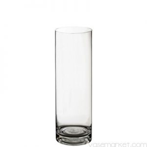 Clear Glass Cylinder Vase 5"x16"