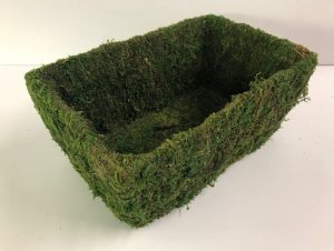 Moss rectangular Planter 10"