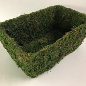 Moss rectangular Planter 10"