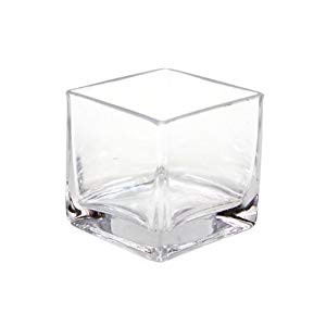 Glass Cube Vase 3"