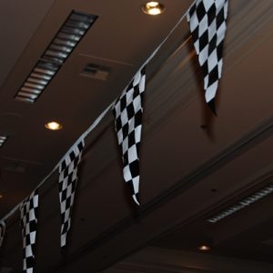 PENNANT ROPE CHECKERED 100´
