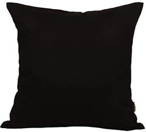 Black Velvet Pillow 18" x 18"