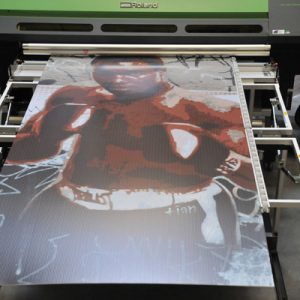 Printing for DNA 4X8 Plexi Vegas
