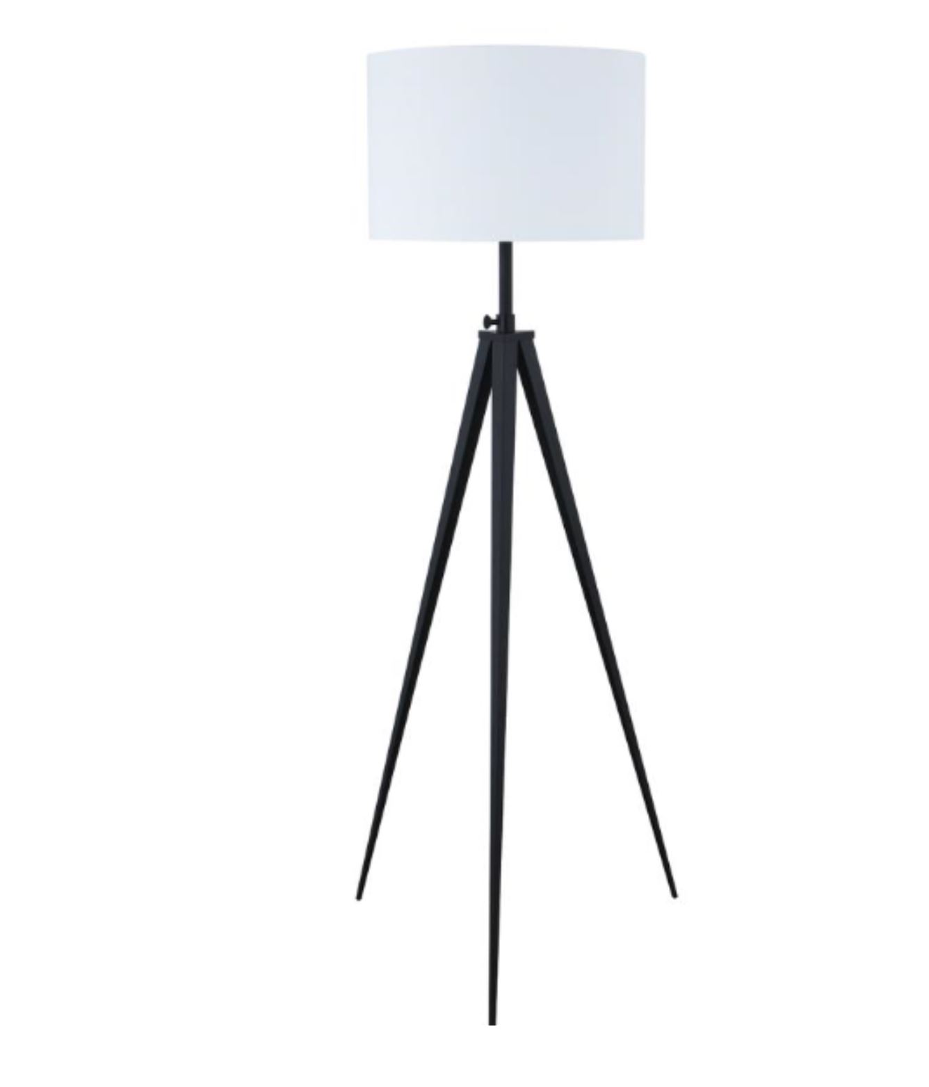 Black and White Floor Lamp