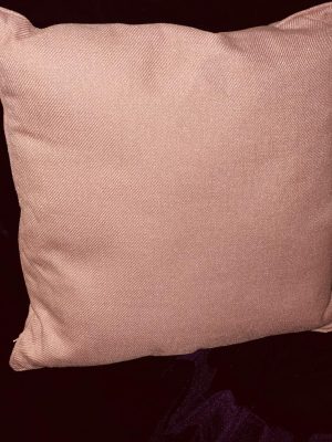 Blush Toss Pillow 20" x 20"