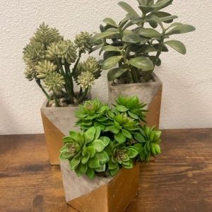 Concrete and Gold Cube Trio with Artificial Succulents 4"