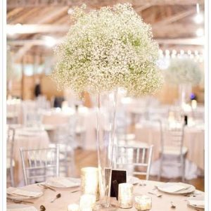 Baby's Breath Centerpiece