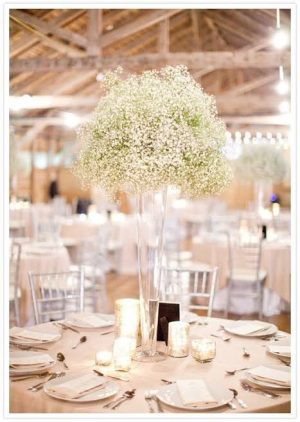 Baby's Breath Centerpiece