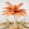 Feather Plume Tall Centerpiece - Image 3