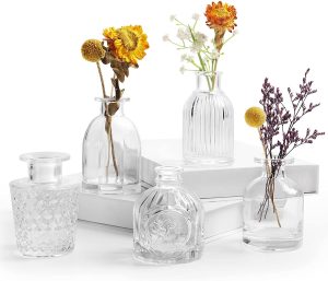 Clear Glass Vintage Bud Vases (Set of 5)