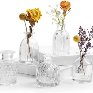 Clear Glass Vintage Bud Vases (Set of 5)