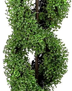 Boxwood Double Spiral Topiary Tree 5'