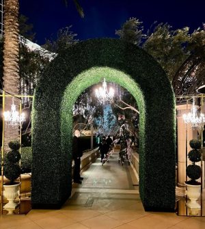 Hedge Arch
