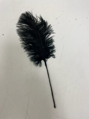 BLACK FEATHER PLUME 7"