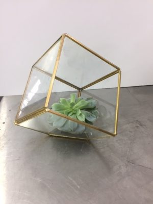 Glass and Gold Metal Mini Terrarium/ Candle Holder 4 1/2"