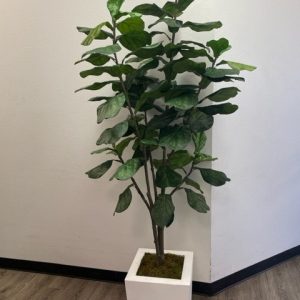 Silk Fiddle Leaf Fig Tree 7' Artificial