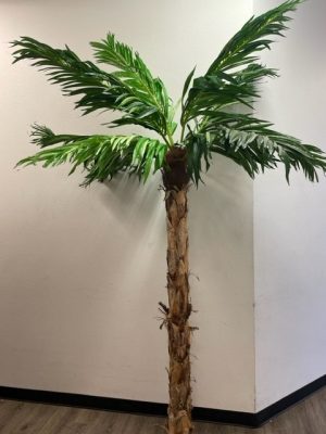 Silk Palm Tree 8' Artificial